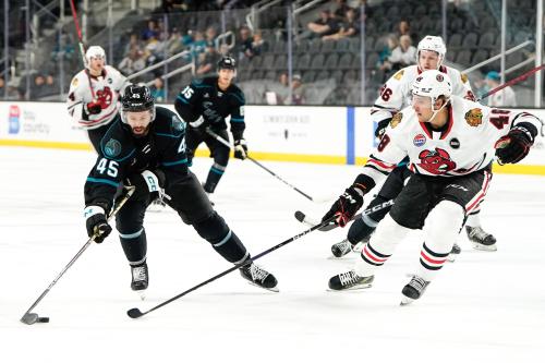 Rockford Icehogs