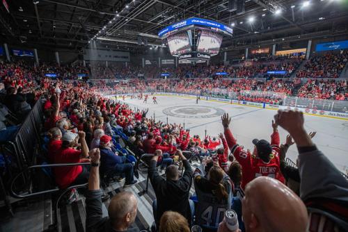 IceHogs Crowd Shot