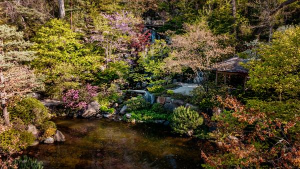 Anderson Japanese Gardens Beauty Shot