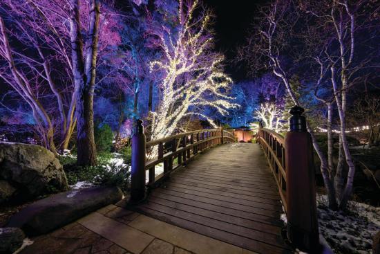 illuminated bridge