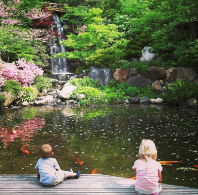 Anderson Gardens