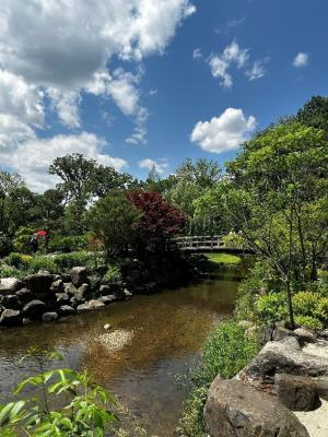 Anderson japanese gardens
