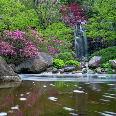 Anderson Gardens