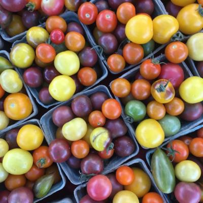 Edgebrook farmer's market