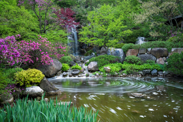 Anderson Japanese Gardens