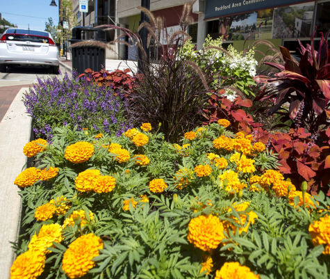 Forest City Beautiful Planted Bed