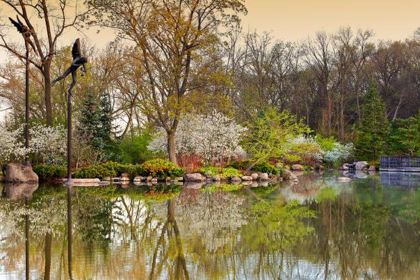 Anderson Japanese Gardens