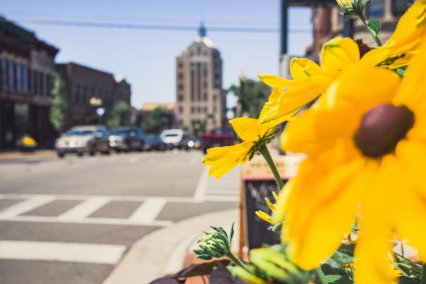 Bright Flower
