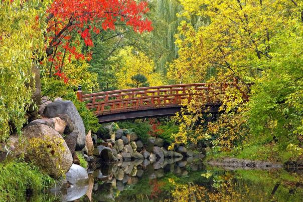 Anderson Japanese Gardens (Fall)
