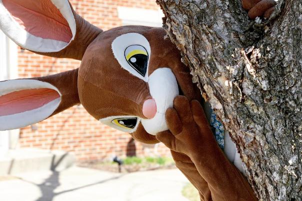 Easter Bunny