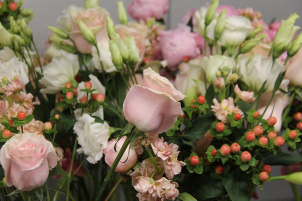 Pale Pink Rose