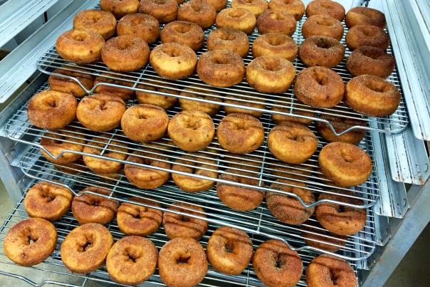 Cider Donuts