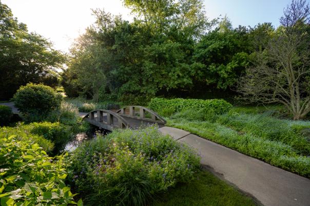Klehm Arboretum