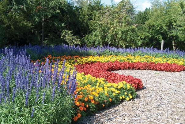 Klehm Arboretum Rainbow Garden