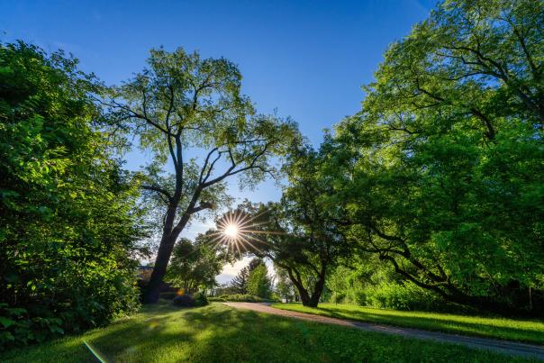 Klehm Arboretum - sunrise