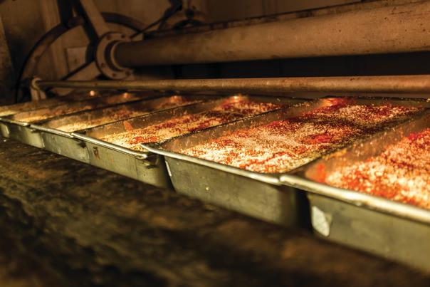 Lino's lasagna