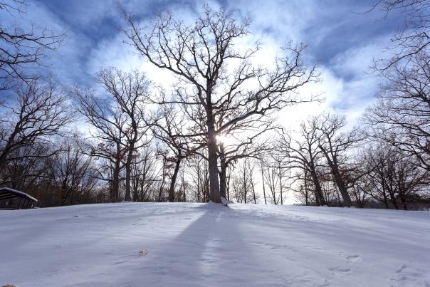 Rock Cut State Park Winter