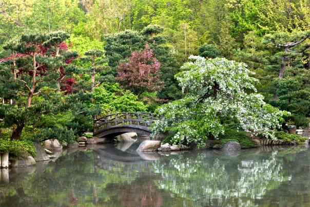 Anderson Japanese Gardens