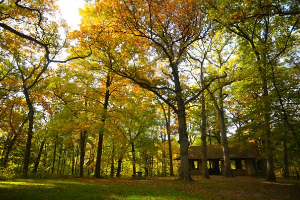 Seward Bluffs Forest Preserve