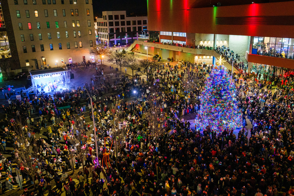 Stroll on State Tree