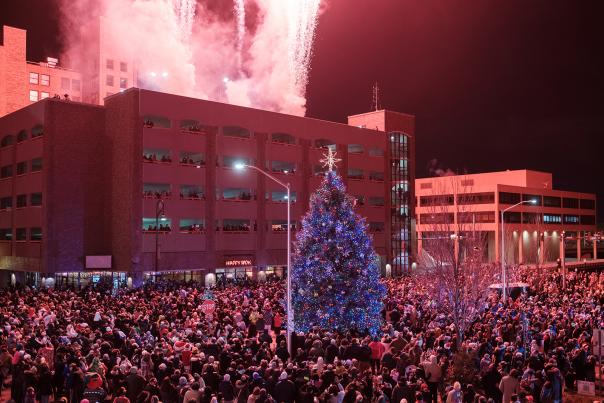 stroll tree with fireworks