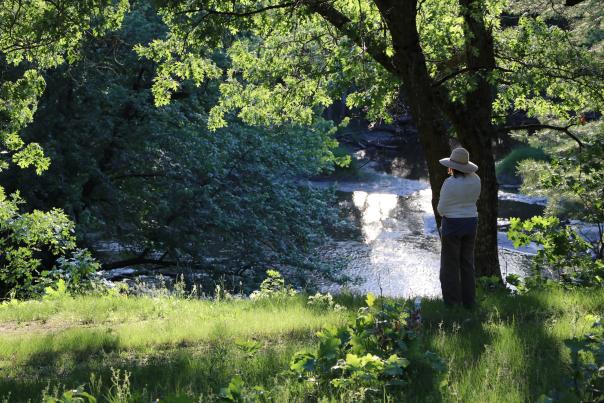 Winnebago County Forest Preserves