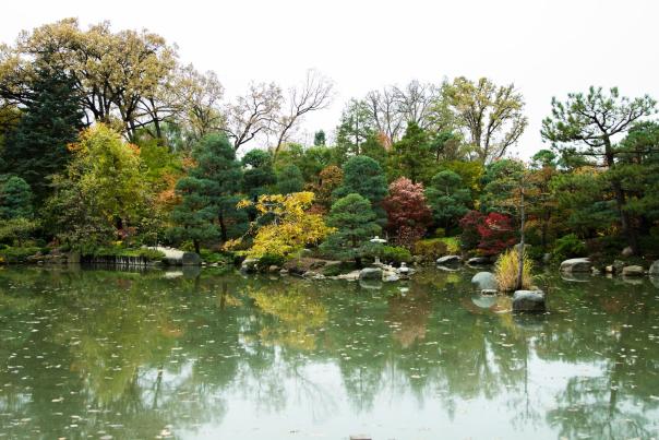 Anderson Japanese Gardens