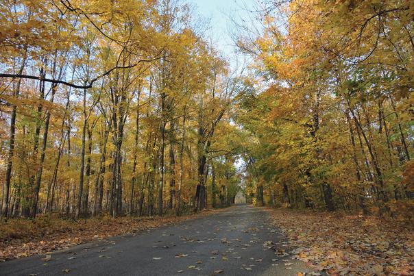 Hononegah Forest Preserve fall
