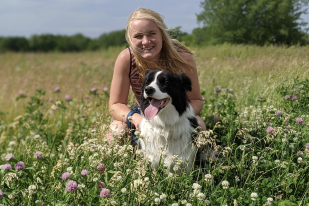 Regan Stoll - blog header