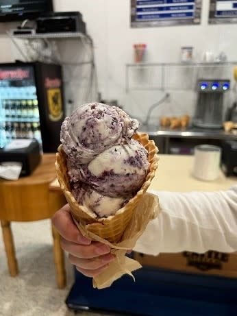 cattle & cream