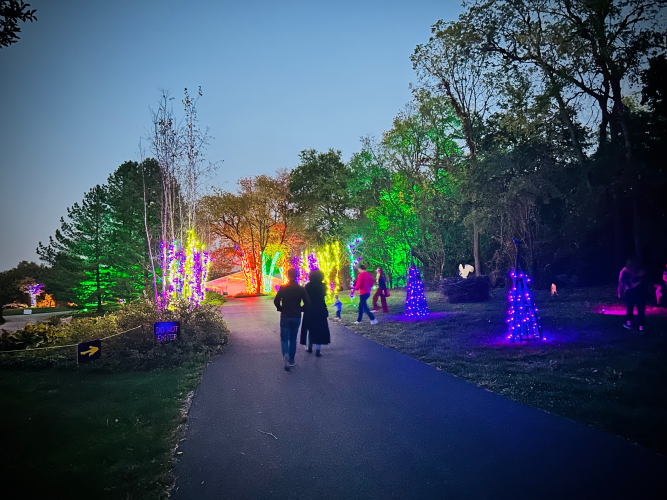 Eerie Autumn Lights
