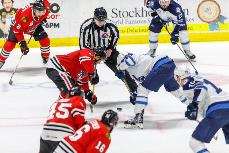 Rockford IceHogs Hockey