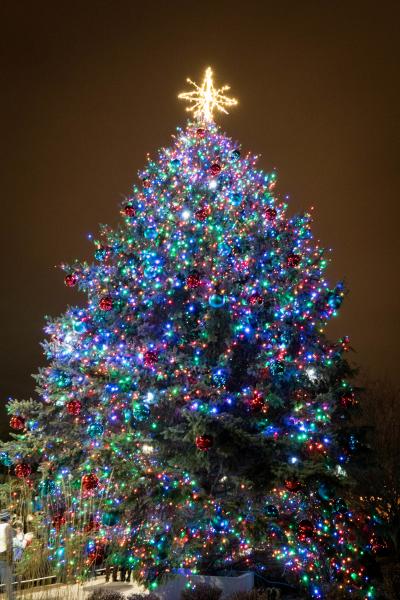 Stroll on State Christmas tree