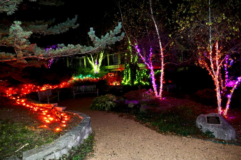 Eerie Autumn Lights