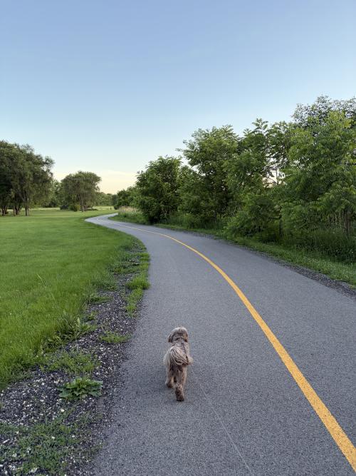 Midway Village Walking Path