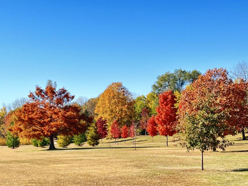 baumann park fall