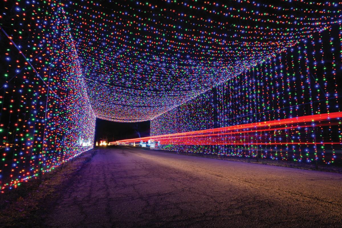 festival of lights