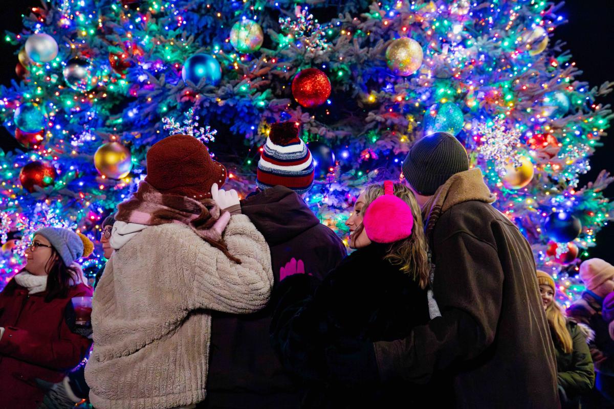 Stroll on State Tree