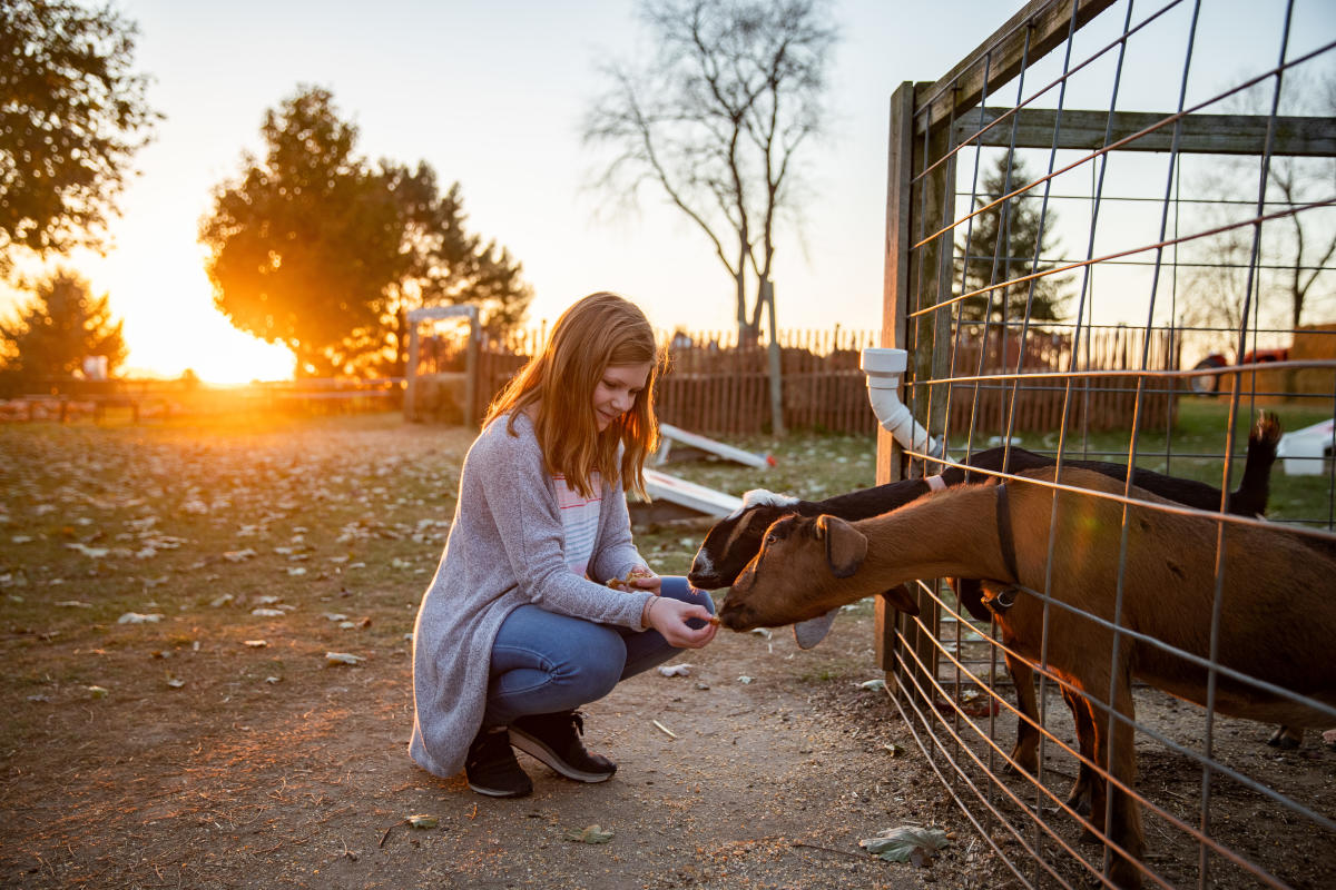 Family-Friendly Activities in Rockford, IL - GoRockford