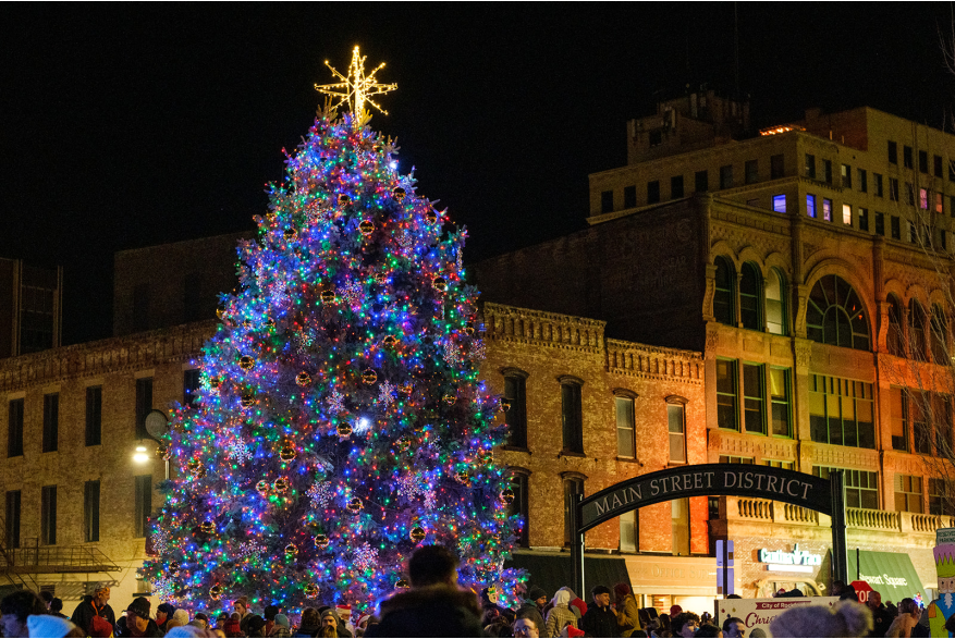 Stroll on State Tree Lighting