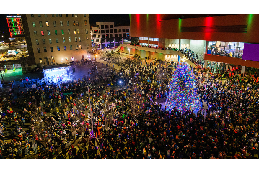 Stroll on State Tree