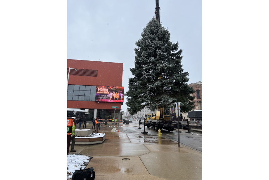 Stroll on State Tree Installation