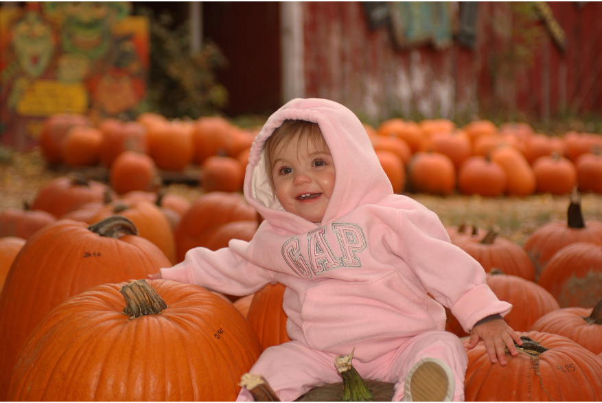hi_096PumkinPatch