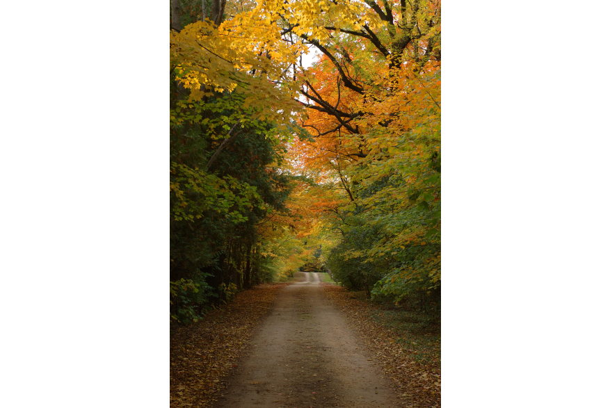 hi_097Fall