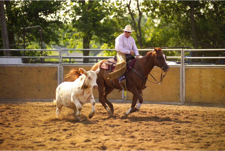 hi_108Cowboy