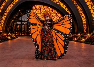 Dia de los Muertos: The Experience at The Monarch