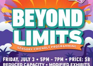 Beyond Limits