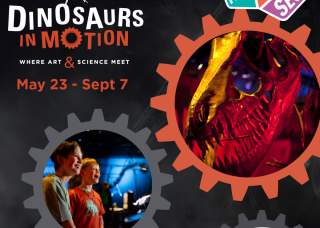 Dinosaurs in Motion