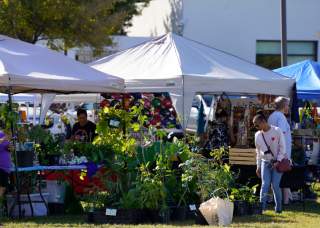 Farmers & Artisans Market