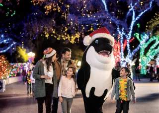 SeaWorld Christmas Celebration